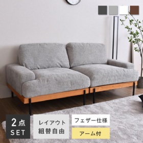 Scandinavian Style 2 Seater Low Sofa Unit Feather Fluffy Sofa Modern